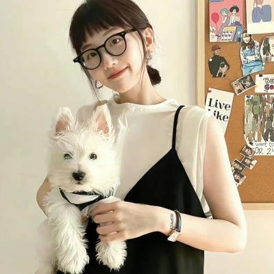 悬崖上的金鱼姬