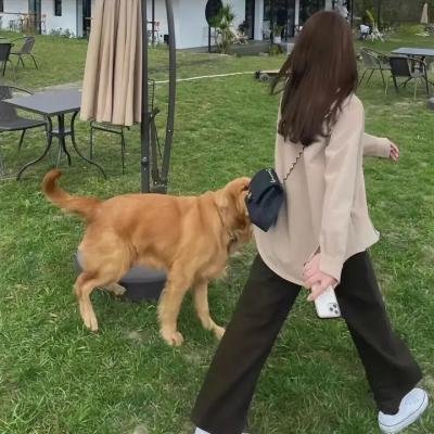 伦敦大道